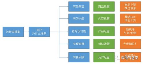 數據分析如何推動在線數據處理與交易處理業務發展