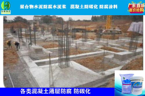 三門峽盧氏防碳化防腐漿料在房屋修繕中的應用與價值